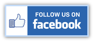 Follow us on facebook logo button